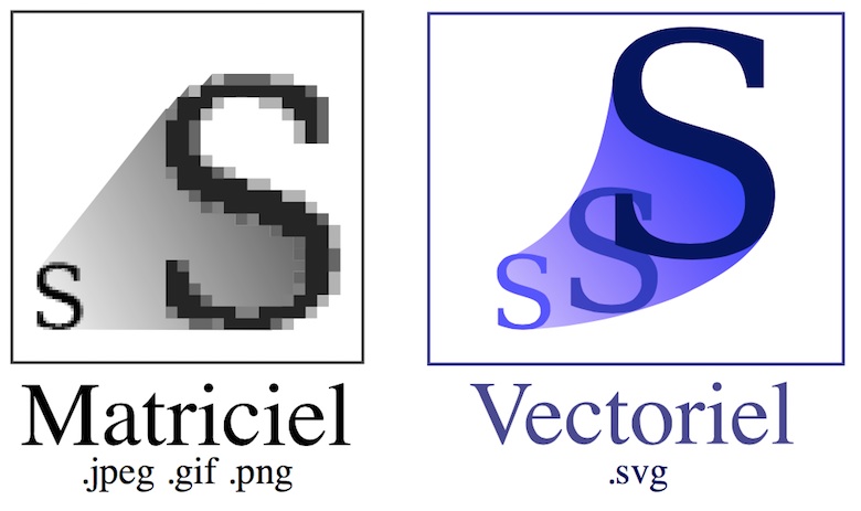 Image (oui, SVG) CC BY-SA <a href="">Tiger66</a>.