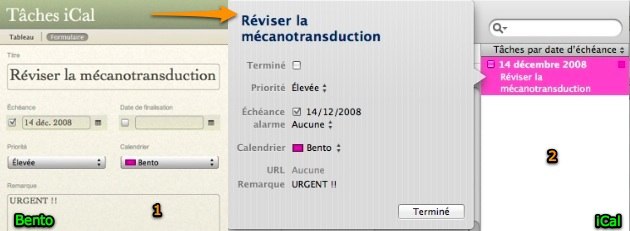 19-Bento-%20ta%CC%82ches